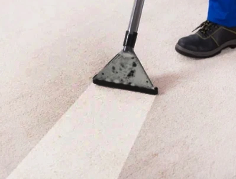 empresa de limpeza de carpete
